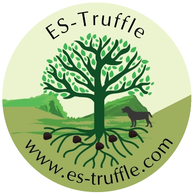 es-truffle.com
